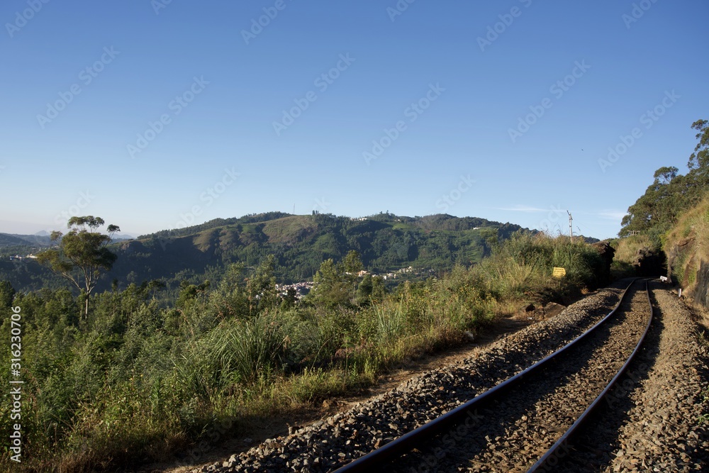Forest railway with top view with blue sky and tea garden and green leaf Forest railway with top view with blue sky and tea garden and green leaf