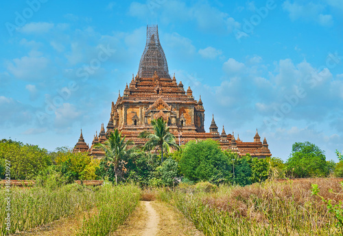 The ancient temple behind the field, Bagan, Myanmar photo