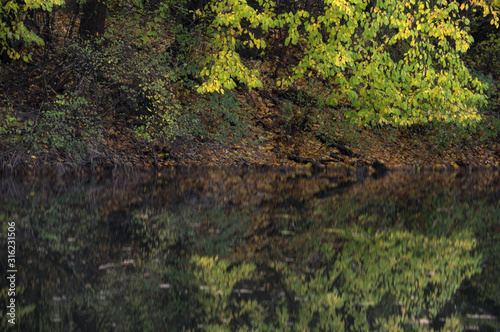 Alter Rhein -  Rohr - Lustenau