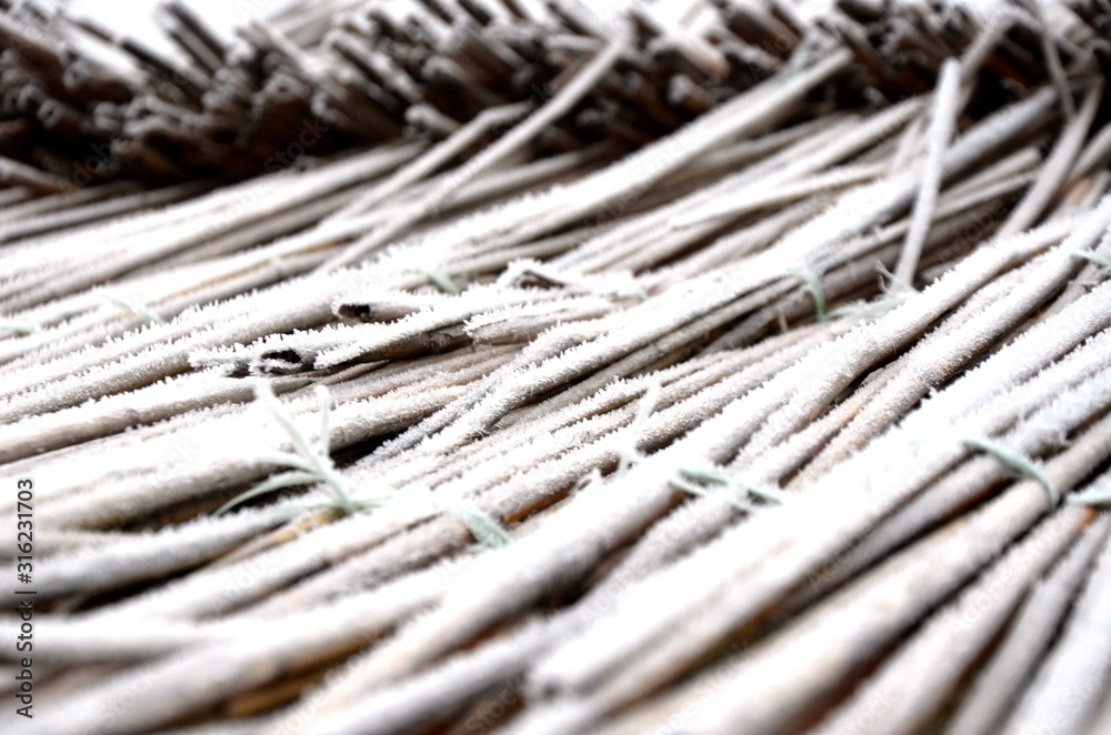 fragment of a reed roof with hoarfrost, frosty morning. Floral background. Floral texture. fragment of a reed roof with hoarfrost, frosty morning. Floral background. Floral texture.