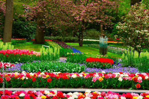 Fototapeta Naklejka Na Ścianę i Meble -  fresh lawn with flowers