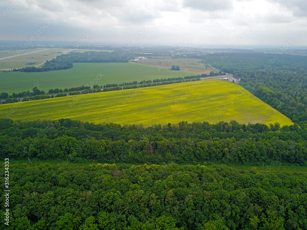 Obraz premium Aerial drone view. Yellow field of rapeseed.