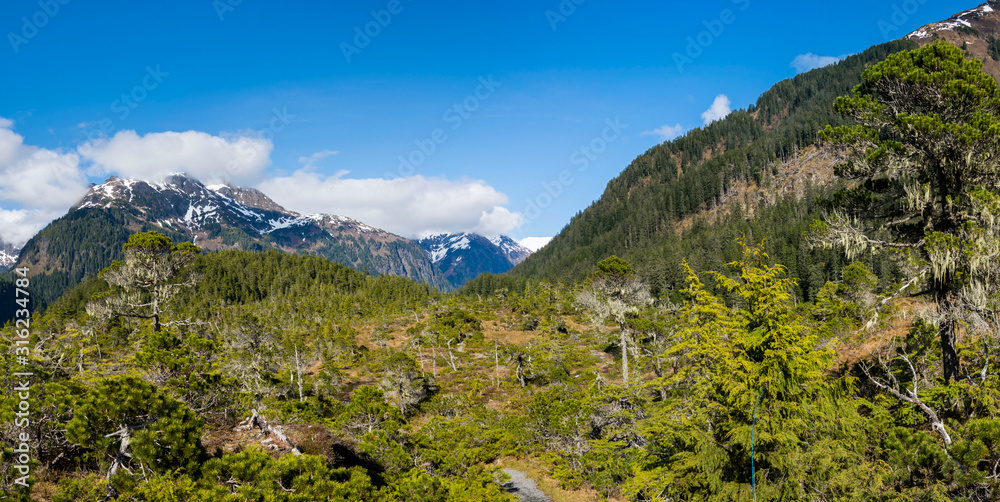 Spring in Sitka