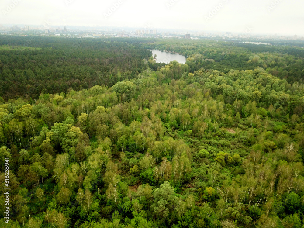 Aerial drone view. Coniferous forest in early spring.