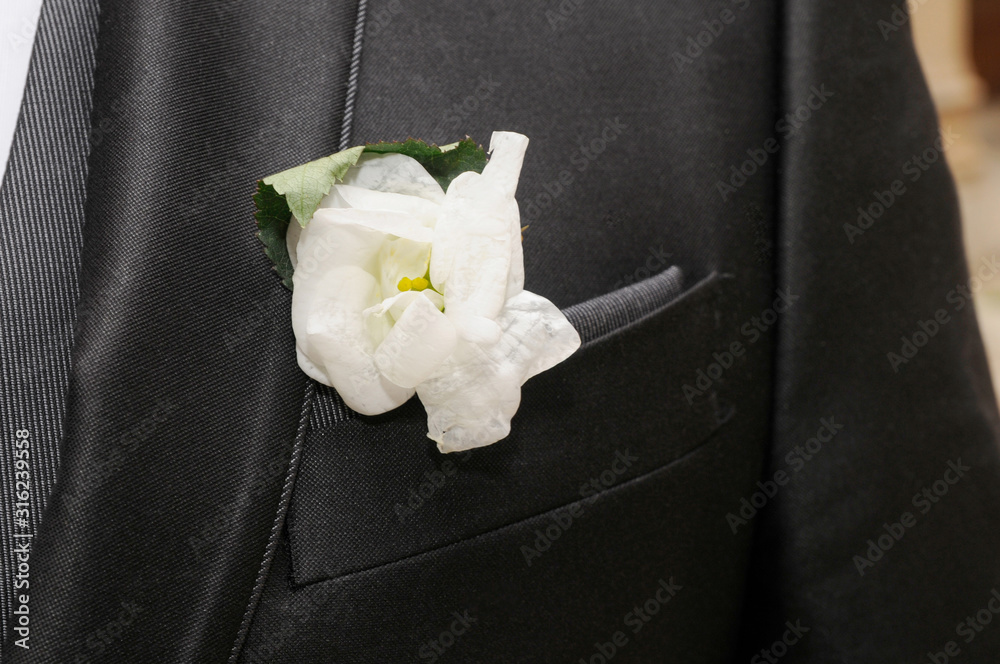 Prendido o boutonniere de novio colocado en la solapa del traje Stock Photo  | Adobe Stock