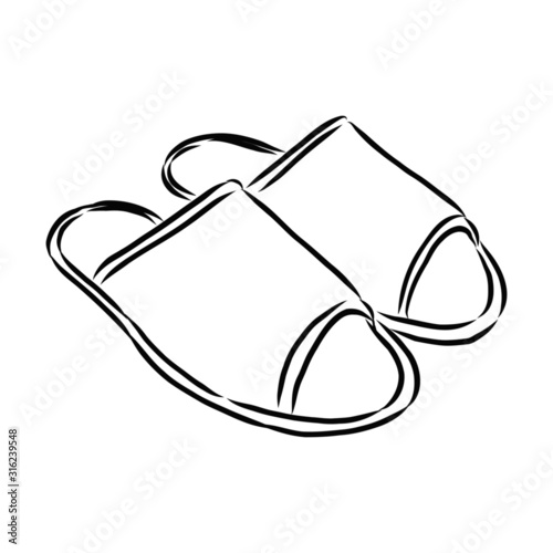 vector illustration of a slippers shoes