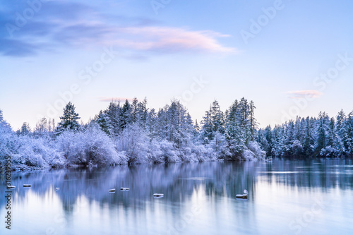 Old Bridge Pilings On Mud Bay After First Snow, Puget Sound, Olympia Washington
