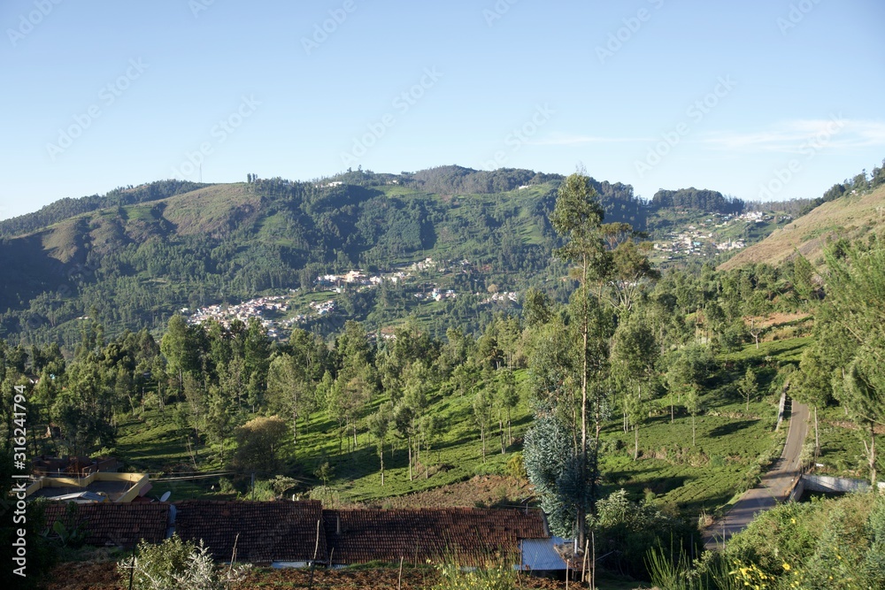Mountain village view point with blue sky and green trees