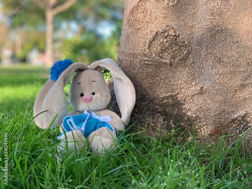 Easter Bunny sitting on the grass