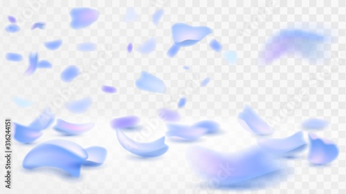Blue petals fall on a surface on a transparent background, spring blossom