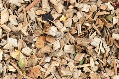Wood chips background close up
