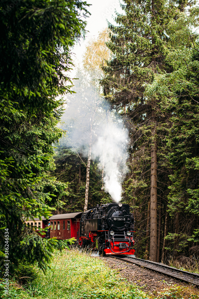 Brockenbahn, Harz Stock Photo | Adobe Stock