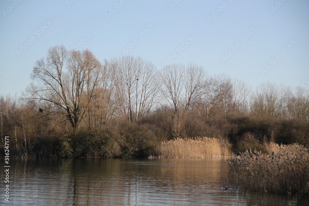 Obraz premium Madine lake natural reeds landscape