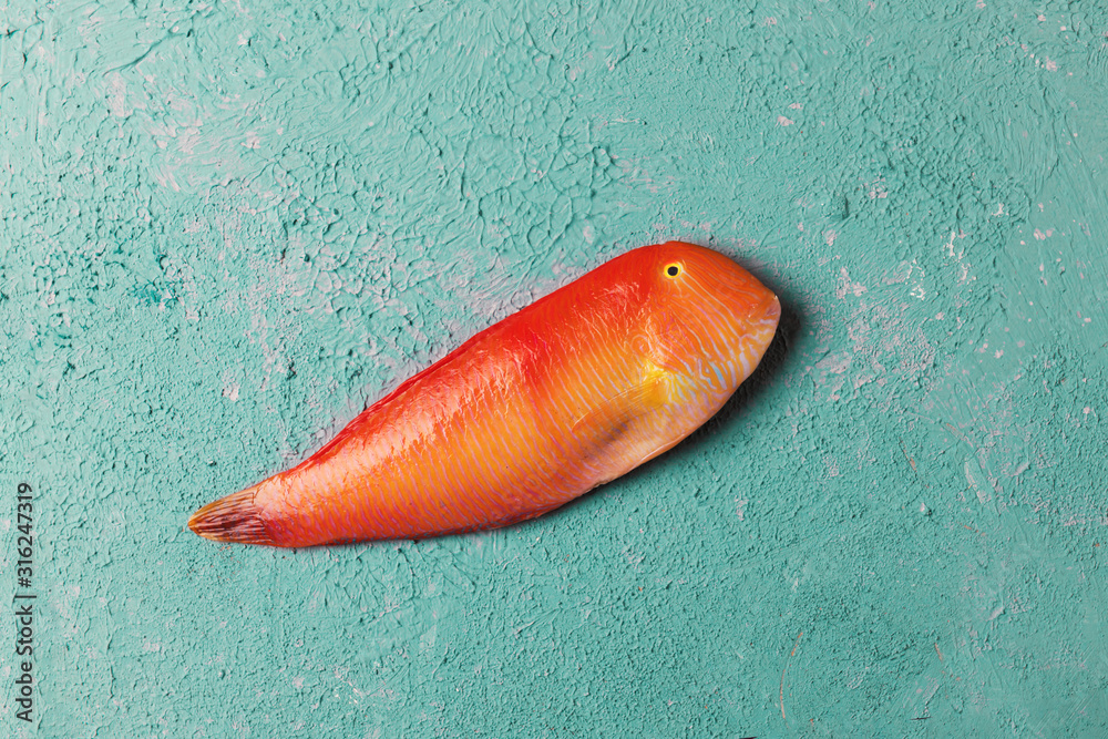 Beautiful tropical red sea fish Pearly razorfish on a turquoise or ...