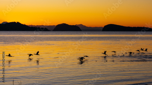 Whidbey Island Sunrise Overlooking Skagit Bay with Birds Taking Flight