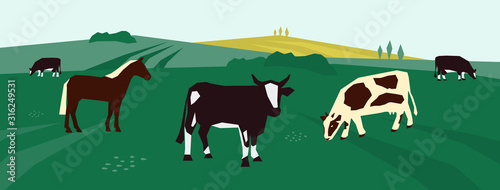 Background for farming or livestock company. Vector illustration of cows and horse in pasture. Farm animals on agricultural field. Rural landscape with dairy cattle. Design for flyer, poster, banner.