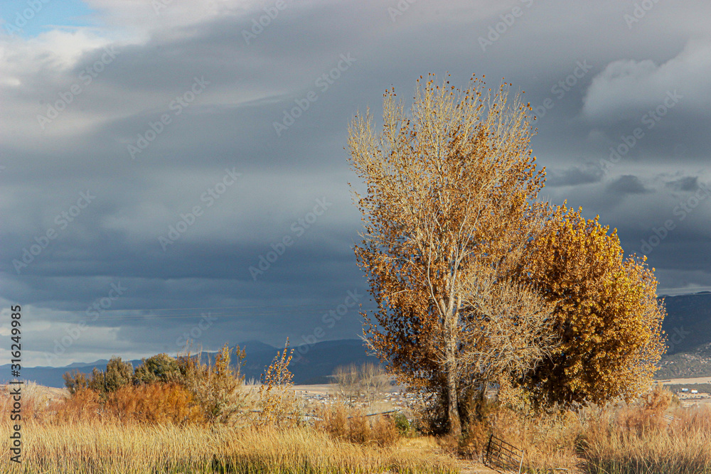 Fototapeta premium Coming storm