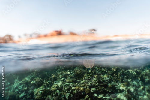 Half under half over water photography in the beautiful ocean of egypt