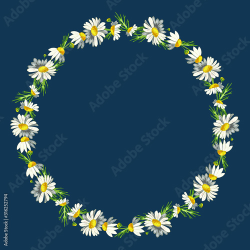 Beautiful wreath of small field daisies on a classic blue background. Pharmacy medicinal chamomile with leaves. Realistic style. Spring pattern.