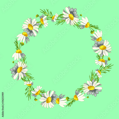 Beautiful wreath of field daisies on a aqua menthe background. Pharmacy medicinal chamomile with leaves. Realistic style. Spring pattern. Rustic decor.
