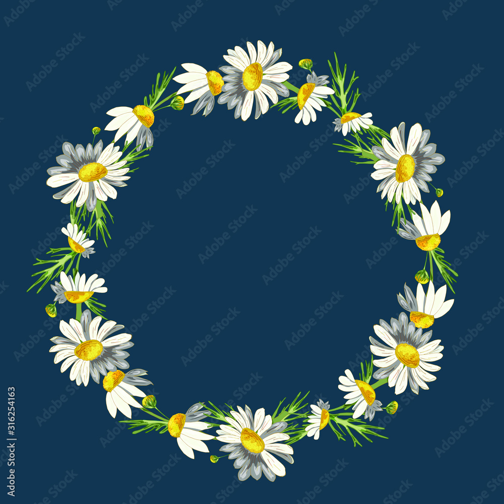 Beautiful wreath of field daisies on a classic blue background. Pharmacy medicinal chamomile with leaves. Realistic style. Spring pattern. Rustic decor. Beautiful wreath of field daisies on a classic blue background. Pharmacy medicinal chamomile with leaves. Realistic style. Spring pattern. Rustic decor.