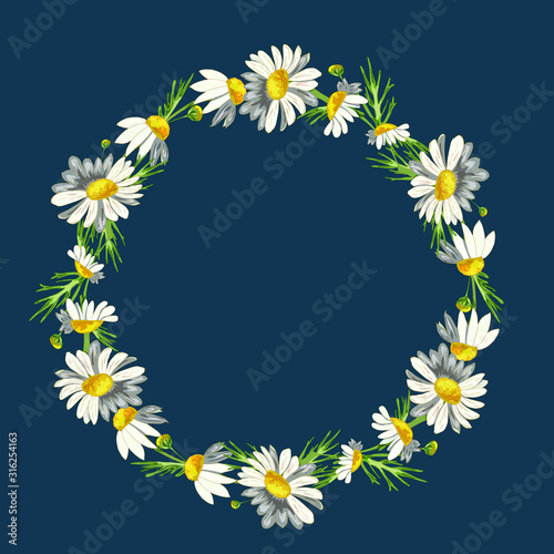 Beautiful wreath of field daisies on a classic blue background. Pharmacy medicinal chamomile with leaves. Realistic style. Spring pattern. Rustic decor.