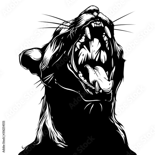 screaming cat illustration