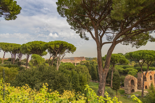 Photography Palatine Hill, Rome Italy