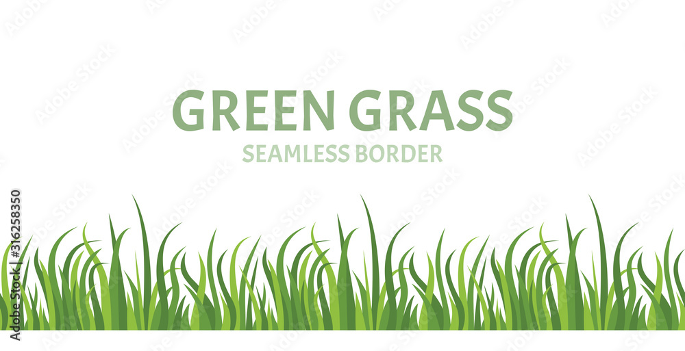 Fototapeta premium Green grass seamless border. Vector illustration of green lawn in cartoon simple flat style.