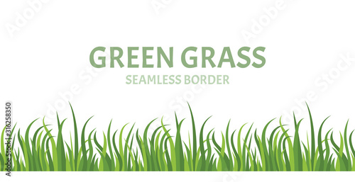 Green grass seamless border. Vector illustration of green lawn in cartoon simple flat style.