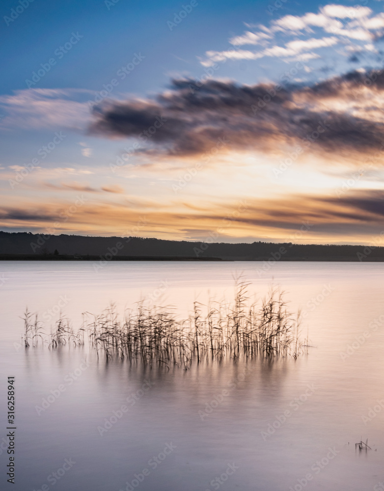 alba sul lago di vico, giunchi nel vento, lunga esposizione alba sul lago di vico, giunchi nel vento, lunga esposizione