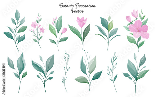 Set of leaves vector. Greenery elements for wedding invitation card template design. Elegant floral illustration of wild-leaves and hibiscus flowers