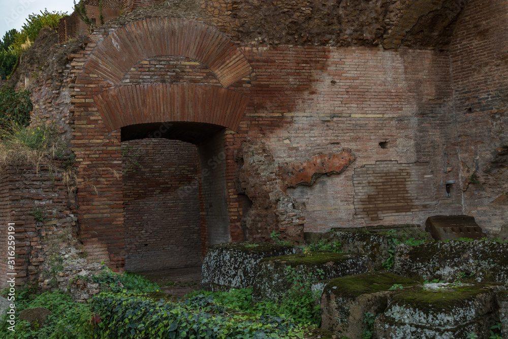 Vines growing on brick wall ruins of Palatine Hill, Rome Italy