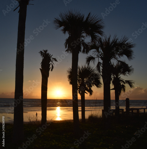 Morning Sunrise and Evening Sunset Between the Palm Trees in Coastal Florida