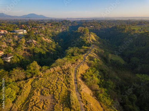 Aerial view of Campuhan Ridge Walk  Quiet morning scenic Green Hill in Ubud Bali  Indonesia
