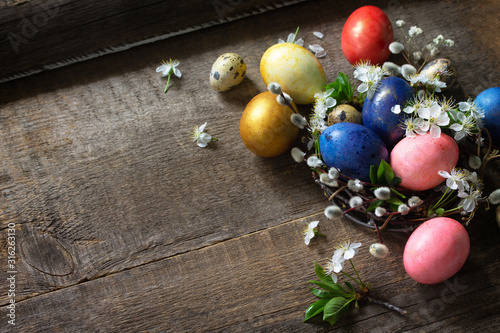 Colored Easter eggs in a nest with willow branches and spring flowers on a gray wooden background. Top view flat lay background. Copy space.