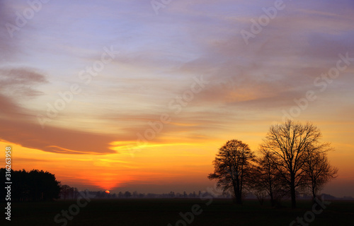 Fototapeta Naklejka Na Ścianę i Meble -  Złoty, pastelowy zachód słońca nad polami, obszry wiejskie.