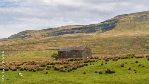 Landscape in the Eden District of Cumbria, seen on the B6259 road between Outhgill and Aisgill, England, UK