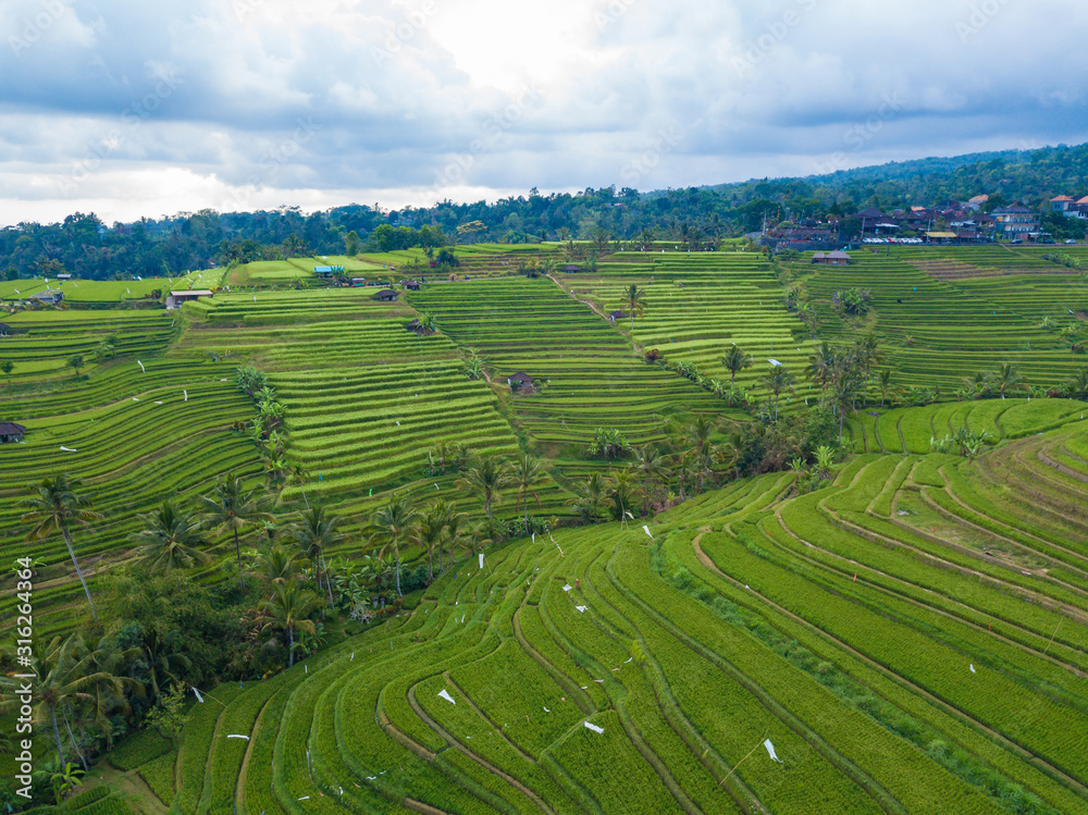 Aerial view of rice terraces. Agricultural landscape of north Bali from drone. Jatiluwih Rice terraces UNESCO World Heritage. Bali, Indonesia. Travel - image.