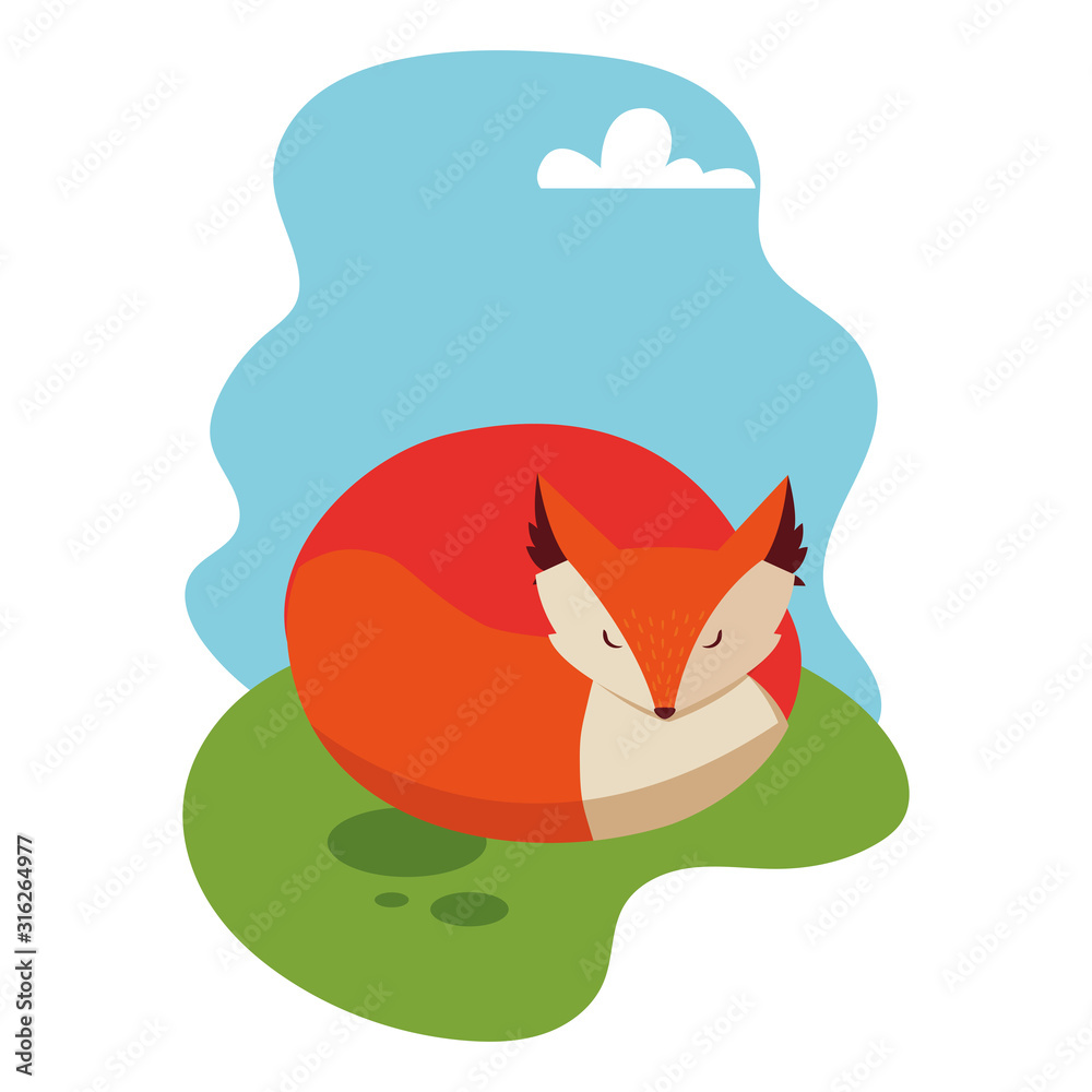 Fototapeta premium wild fox on a summer nature landscape