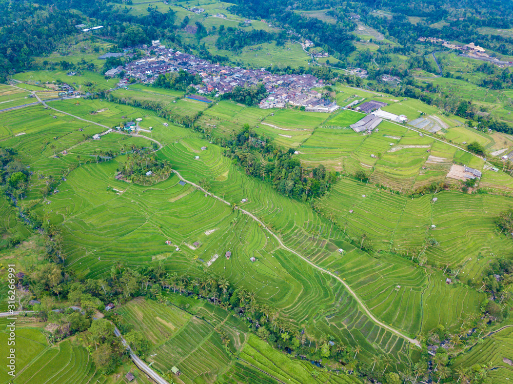 Aerial view of rice terraces. Agricultural landscape of north Bali from drone. Jatiluwih Rice terraces UNESCO World Heritage. Bali, Indonesia. Travel - image.