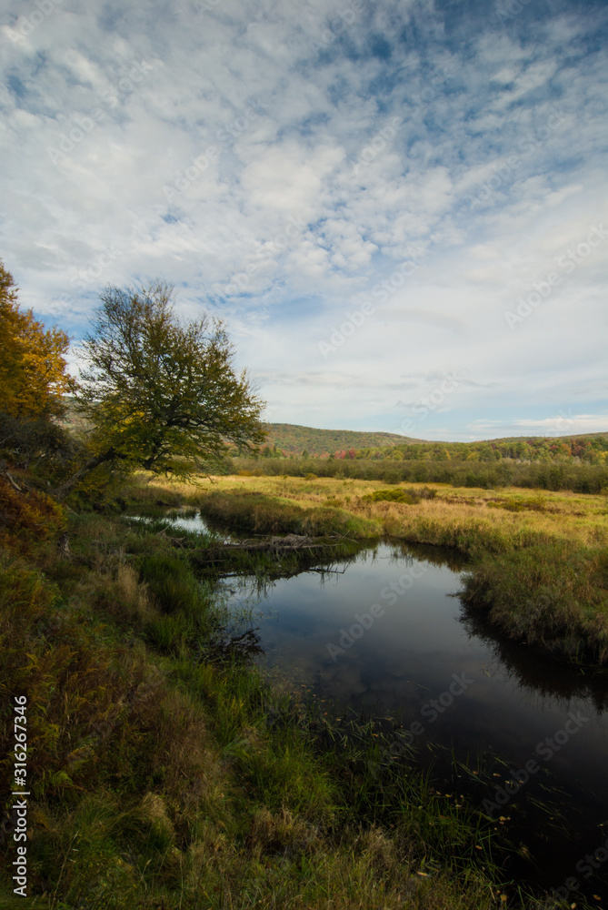 Autumn Morning in Canaan Valley State Park, West Virginia