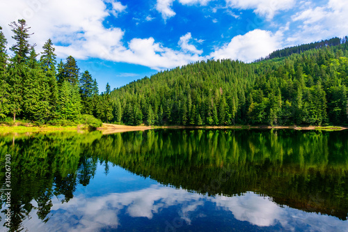 mountain lake in summertime. great outdoor nature scenery. coniferous forest with tall trees on the shore reflecting in clear water. deep blue sky with clouds. beautiful landscape