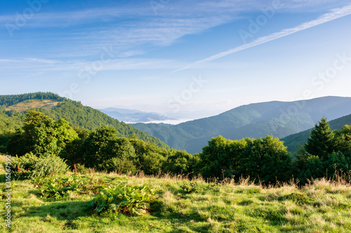 mountain landscape with clouds. beautiful summer scenery. forest on the hills