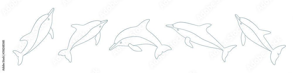 Obraz premium Set of hand drawn dolphins. Isolated vector illustration in doodle style on white background