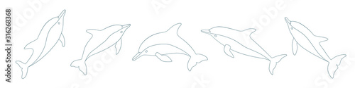 Set of hand drawn dolphins. Isolated vector illustration in doodle style on white background