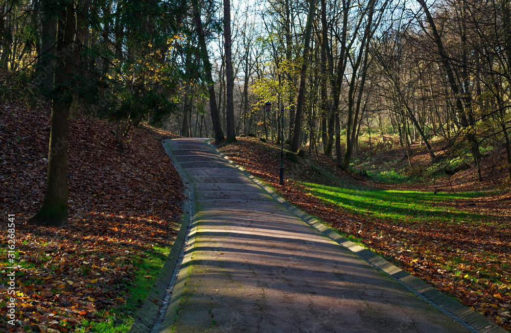 Naklejka premium Landscape in city botanical public park in spring on sun light