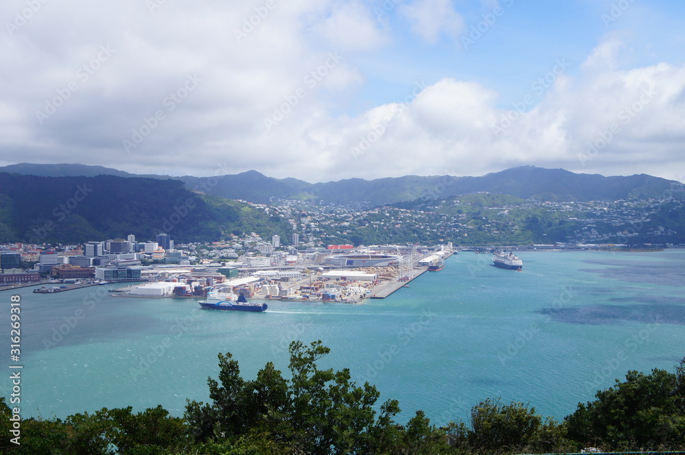 Bay View from Mt. Victoria in Wellington, New Zealand