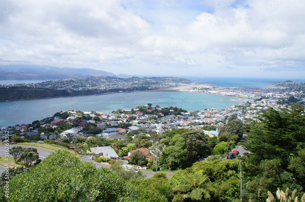 View from Mt. Victoria in Wellington, New Zealand