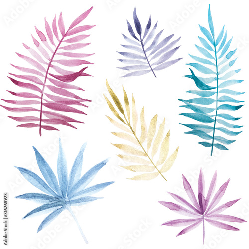 stock illustration watercolor drawing set of tropical leaves. bright colored leaves of plants of pink, blue, purple, yellow. isolated on white background